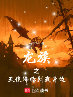 小说《龙族之天使降临到我身边》封面
