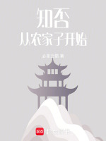 小说《知否从农家子开始》封面