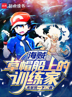 小说《海贼：草帽船上的训练家》封面