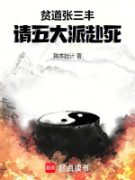 小说《贫道张三丰，请五大派赴死》封面