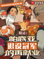 小说《精灵：帕底亚退役冠军的再就业》封面