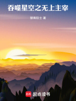 小说《吞噬星空之无上主宰》封面