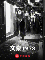 小说《文豪1978》封面