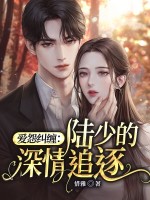 小说《爱怨纠缠：陆少的深情追逐》封面