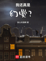 小说《我还真是幻觉？》封面