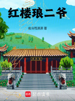 小说《红楼琅二爷》封面