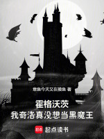 小说《霍格沃茨：我奇洛真没想当黑魔王》封面