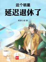 小说《这个明星延迟退休了》封面