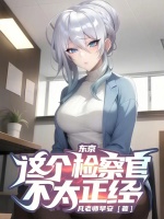 小说《东京：这个检察官不太正经！》封面