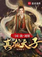 小说《三国：我，刘辩，真龙天子》封面