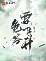 小说《龟爷要飞升》封面