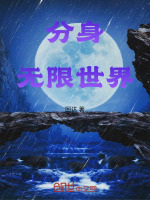 小说《分身，无限世界》封面