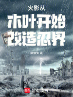 小说《火影从木叶开始改造忍界》封面