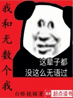 小说《我和无数个我》封面