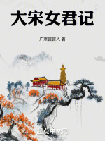 小说《大宋女君记》封面
