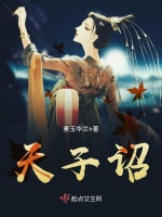 小说《天子诏》封面
