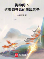 小说《拘神问卜，巡查司开始的无敌武圣》封面