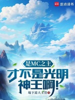 小说《是MC之主，才不是光明神王啊！》封面