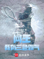 小说《网王：我有三色霸气》封面