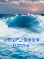 小说《全职法师之重水覆世》封面