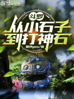 小说《斗罗：从小石子到打神石》封面