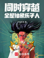 小说《同时穿越：全是抽象乐子人》封面