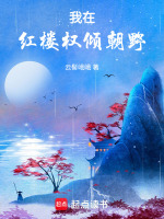 小说《我在红楼权倾朝野！》封面
