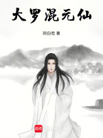 小说《大罗混元仙》封面