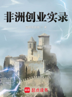 小说《非洲创业实录》封面