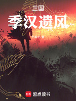 小说《三国：季汉遗风》封面
