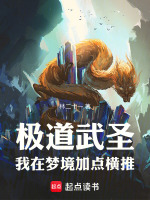 小说《极道武圣，我在梦境加点横推》封面
