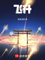 小说《飞升！》封面