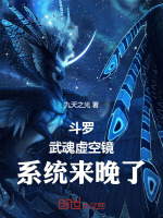 小说《斗罗：武魂虚空镜，系统来晚了》封面