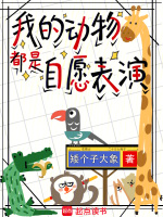 小说《我的动物都是自愿表演》封面