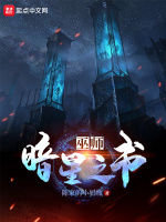 小说《巫师：暗星之书》封面