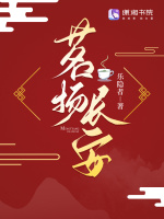 小说《茗扬长安》封面