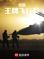 小说《民国：王牌飞行员》封面
