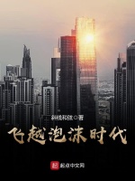 小说《飞越泡沫时代》封面