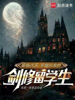 小说《霍格沃茨：穿越回来的剑修留学生》封面