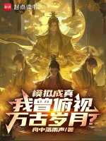 小说《模拟成真，我曾俯视万古岁月？》封面