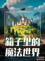 小说《箱子里的魔法世界》封面