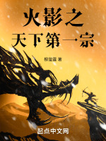 小说《火影之天下第一宗》封面