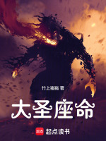 小说《大圣座命》封面