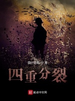 小说《四重分裂》封面