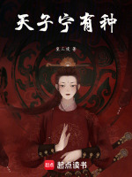 小说《天子宁有种》封面