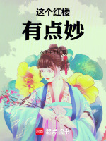 小说《这个红楼有点妙！》封面
