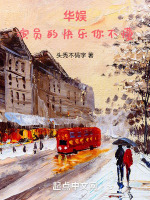 小说《华娱：演员的快乐你不懂》封面