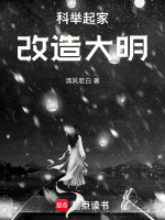 小说《科举起家，改造大明》封面