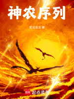 小说《大司农》封面
