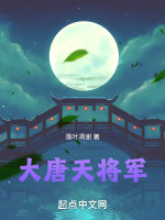 小说《大唐天将军》封面